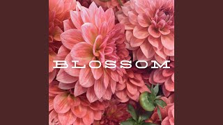 Blossom [upl. by Drandell679]