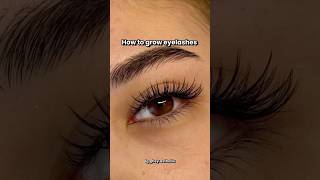 How to grow eyelashes naturally  Top Tips to Grow Long amp Thick Eyelashes Naturally 🌟 shorts [upl. by Arytal]