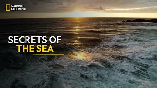 Secrets of the Sea  Hostile Planet  Full Episode S01E02  हिन्दी  National Geographic [upl. by Ymas]