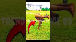 Another Level viralvideo facts funny trending trend tips viralshorts sports [upl. by Orfinger]