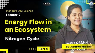 Class 9th Energy Flow in an Ecosystem part  06  Nitrogen Cycle  Science by Apurva Maam [upl. by Inram]