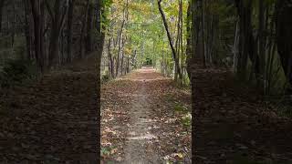 The beginning of foliage on the rail trail that passes through our yard foliage fall pumpkin [upl. by Ikoek]