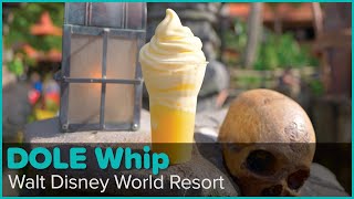 The Many Varieties of DOLE Whips at Walt Disney World [upl. by Akimot]