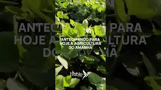 Hubio Agro Soluções Biotecnológicas OnFarm Biofábrica Inoculantes Biofungicidas e Bioinseticidas [upl. by Jo782]