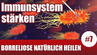 BorrelioseTherapie  Diese Pflanzen stärken dein Immunsystem Borreliose Behandlung natürlich 7 [upl. by Torp]