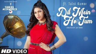 Dil Mein Ho Tum  TSeries Acoustics  TULSI KUMAR  WHY CHEAT INDIA  Bollywood Songs [upl. by Darya]