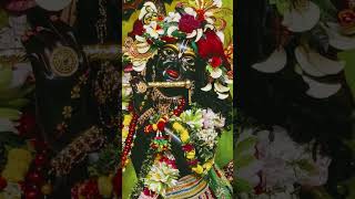 Joy gauranga mahaprabhu 🙏🙏hare krishna short video 🙏🙏 [upl. by Yendroc]