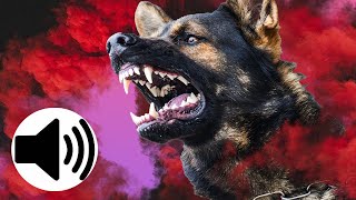 ANGRY Dogs Barking Sound Effect [upl. by Flip530]