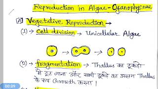 Reproduction in Blue green Algae Cyanophyceae [upl. by Perlie]