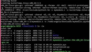 Cython vs Pure Python [upl. by Yeroc]