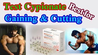 Test Cypionate for lean gaining  benefits amp Side effects amp cycle dose  full explain in one video [upl. by Shandie584]