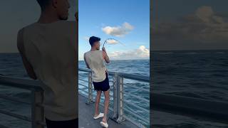 صيد سمكة الجاك الميرا بالبوري الحي 🎣🔥 صيد fishing [upl. by Llerrad]