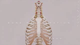 REGENERATE BONE ―∎ affirmations  Superhuman Skeletal System [upl. by Anivek946]