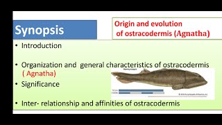 Origin evolution and general characters of Agnatha Ostracoderms and CyclostomesMsc zoology final [upl. by Miarhpe]