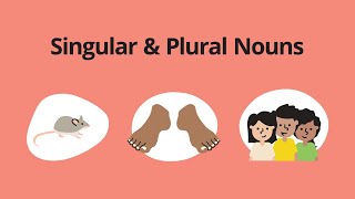 Singular amp Plural Nouns – English Grammar Lessons [upl. by Leidba352]