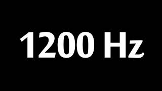 1200 Hz Test Tone [upl. by Cock]