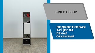 Видеообзор Подростковая Асцелла Пенал открытый [upl. by Whittaker]