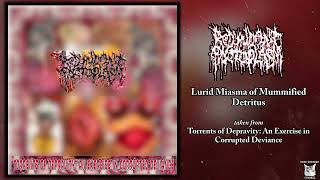 Redundant Protoplasm  Lurid Miasma of Mummified Detritus SINGLE 2024  Goregrind [upl. by Bainbridge]