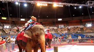 Shrine Circus  Elephant Rides 5 of 10 [upl. by Ahcsap]