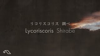 Lycoriscoris  Shirabe 調べ [upl. by Kirkpatrick]