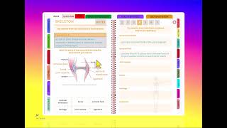 AQA GCSE PE Revision Course Synovial Joints [upl. by Gazzo]