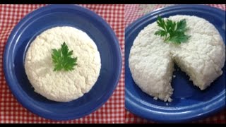 COMO FAZER QUEIJO LIGHT FÁCIL E ECONÔMICO  queijo branco  queijo frescal [upl. by Eittik]