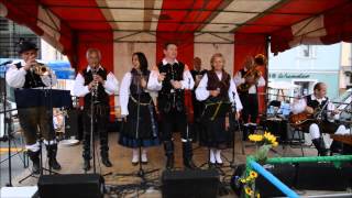 Die Hauskapelle Avsenik beim Stadtfest in Feldkirchen [upl. by Heintz]