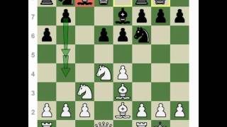 Chess Openings How to Play the Najdorf Sicilian [upl. by Adlihtam]