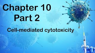 Chapter 10  Part 2 Cellmediated cytotoxicity [upl. by Gudrin]