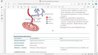 Cardiovascular anatomy [upl. by Yreffej]