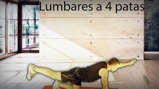 Lumbares a 4 patas [upl. by Bidget]