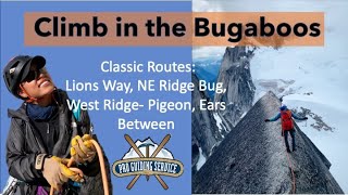 Bugaboos Climbing Trip 2019 Crescent Tower Bugaboo Spire Pigeon Spire [upl. by Nnauol]