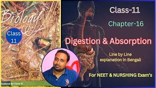 Digestion and Absorption Class 11 for NEET Harunbiozone [upl. by Jeffie403]