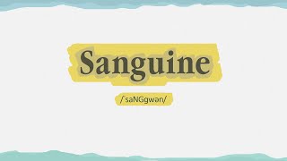 Sanguine  English Vocabulary Builder Pronunciation Meaning amp Example [upl. by Felipa]