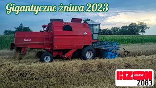 🔥PszeniczneGigantyczne Żniwa 2023🔥 z BIZON GIGANT Z083ampZETOR10145🔥Engine Sound [upl. by Je]