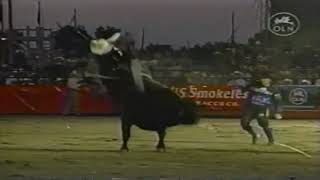 Jesse Bail vs Tar Baby  03 PBR Cheyenne 87 pts [upl. by Adora929]