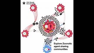 Study unveils complexity of zoonotic transmission chains [upl. by Ines]