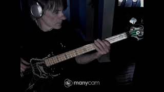 Helen Reddy  Delta Dawn bass cover [upl. by Etnomed817]