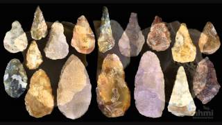 Stone Tool Technology of Our Human Ancestors — HHMI BioInteractive Video [upl. by Eisus]