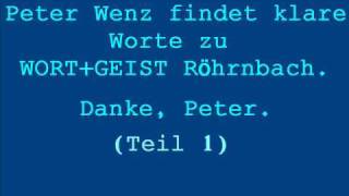 Peter Wenz äußert sich kritisch über WortampGeist Teil 1 [upl. by Essej987]