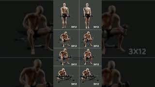 Dumbbell Fitness Transform Your Body fitness armsathome gymworkout sports armworkout barbell [upl. by Keever]