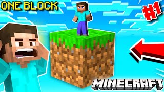 EXPLORE THE ONE BLOCK WORLD IN MINECRAFT ONE BLOCK 1 [upl. by Fredela356]