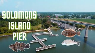 Fishing Solomons Island Pier  Chesapeake Bay MD Seabass Flounder Spot [upl. by Darreg961]