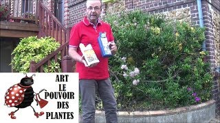 Tuto jardin Utilisation du savon noir comme insecticide [upl. by Attegroeg111]