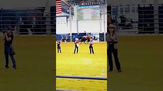 horseshowlife farming rodeo horse farmlifebestlife farm horsebarn horsegirl horseshowing [upl. by Leahkim]