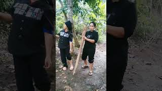 Betulin tanaman comedyngakak comedylucu comedy [upl. by Crispa]