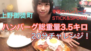 【大食い】ハンバーグ＆カレー総重量35kg20分チャレンジ！ [upl. by Loydie]