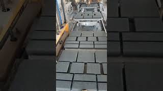 automatic paving block machine [upl. by Netsrak]