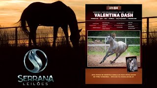 Lote 4  VALENTINA DASH [upl. by Landau500]