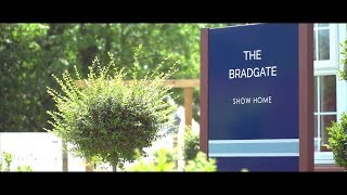 Discover the Bradgate Show Home at David Wilson Homes [upl. by Eppes]